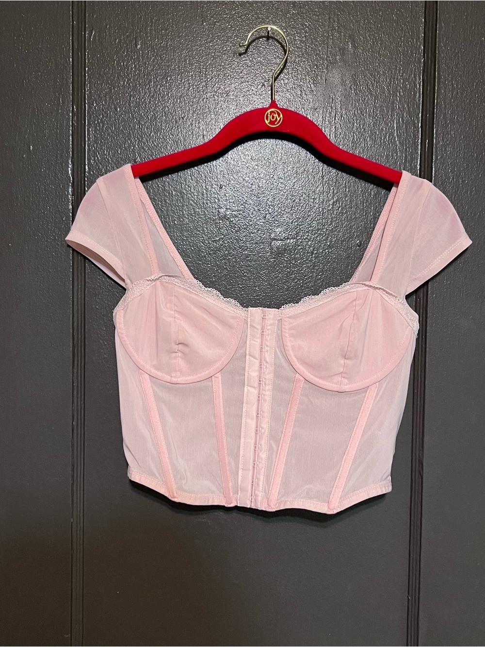 Charlotte Russe Pale Pink Sheer Bustier Top